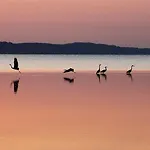 In - Insel Ruegen 2913