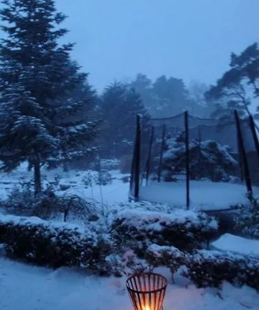 - Ruegen - Insel Ruegen 2913 דירה Lietzow