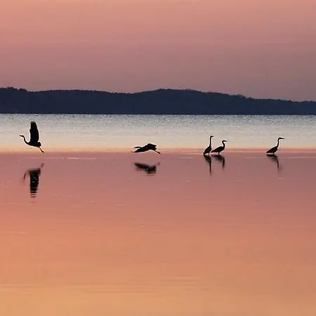 In - Insel Ruegen 2913